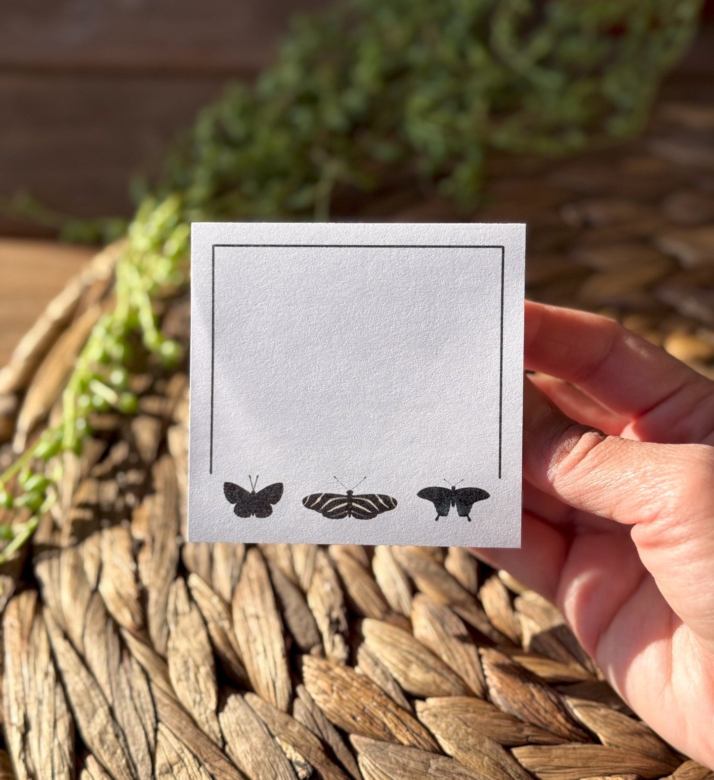 Black Butterflies Sticky Notes