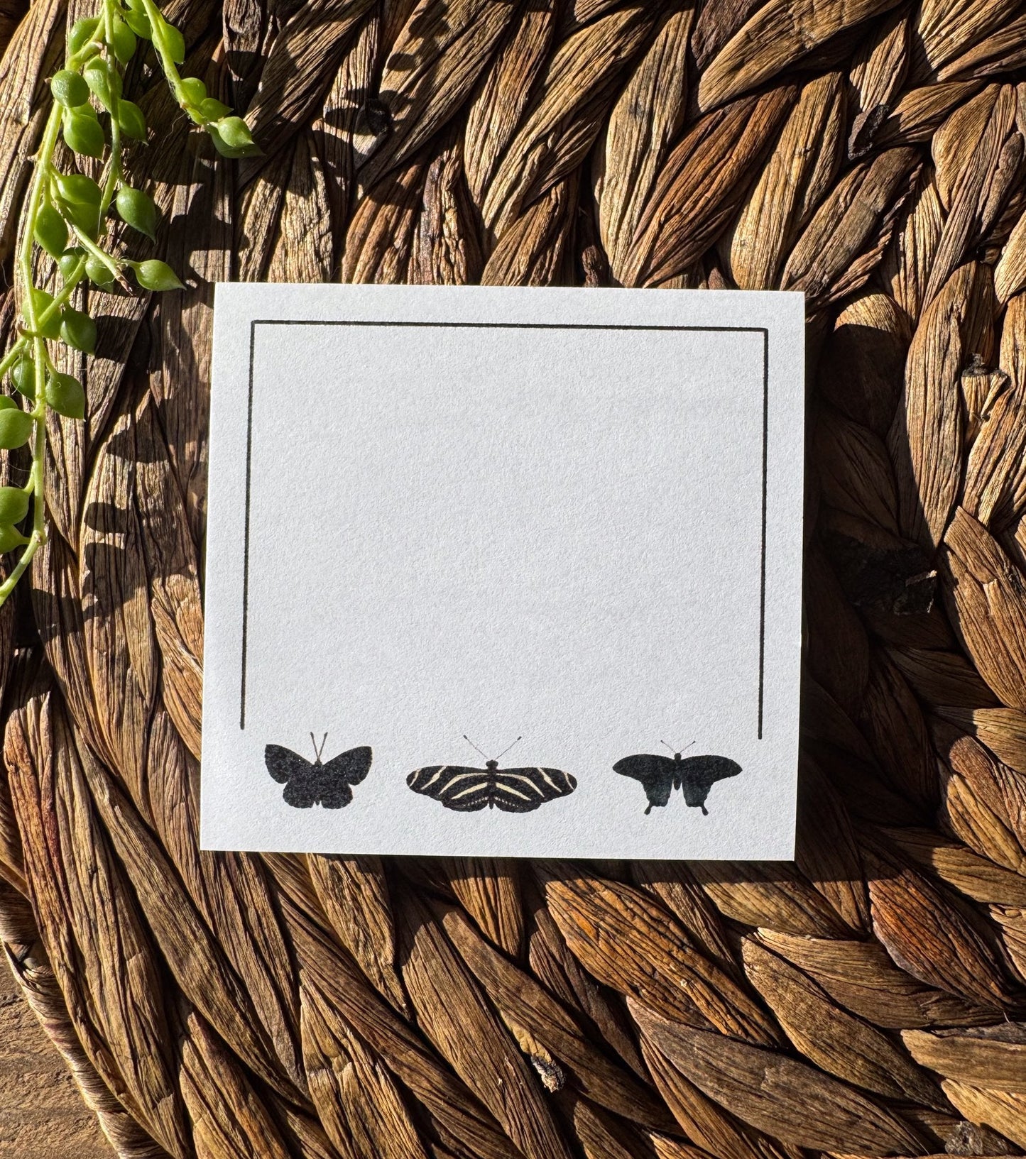 Black Butterflies Sticky Notes