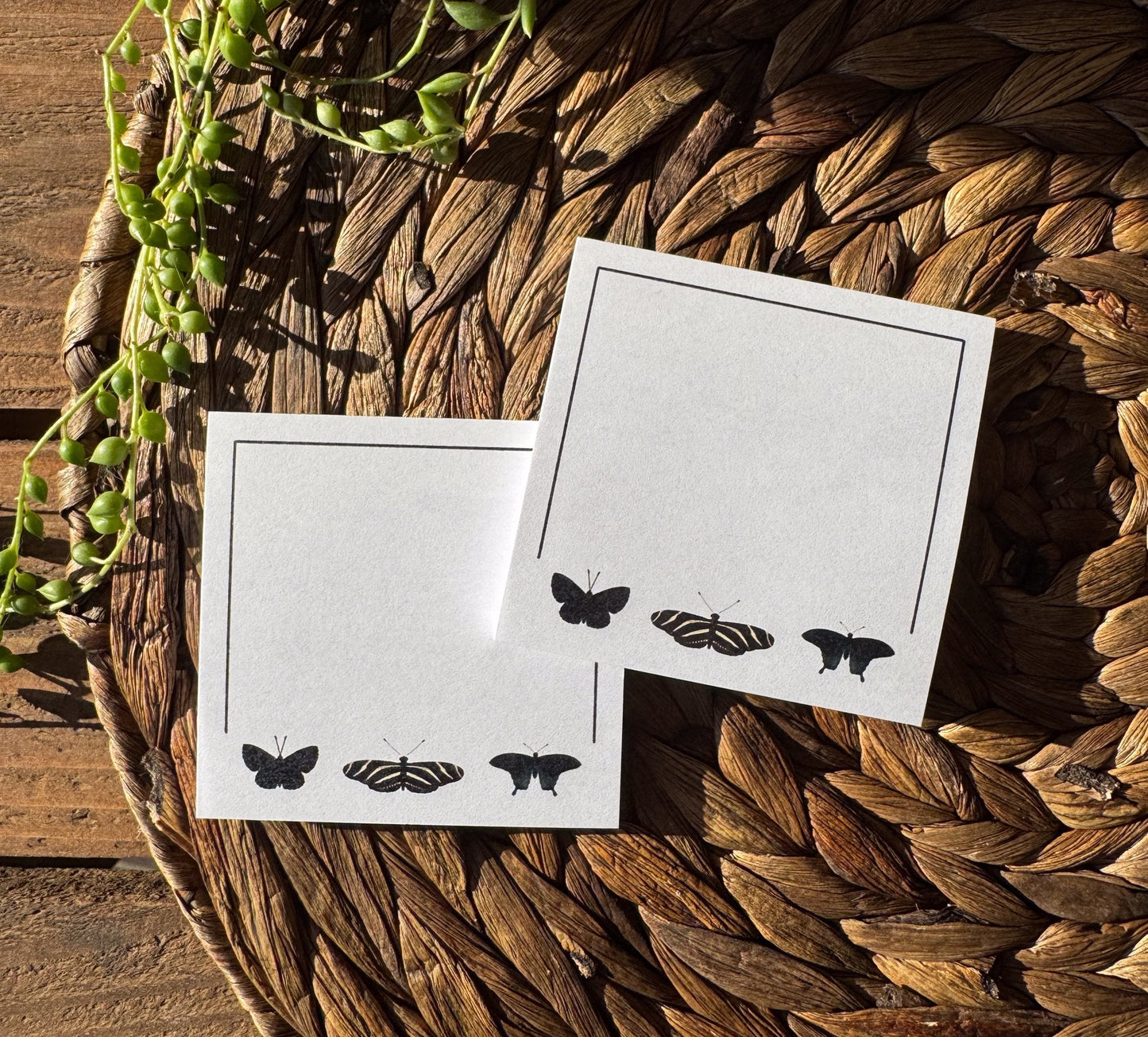 Black Butterflies Sticky Notes