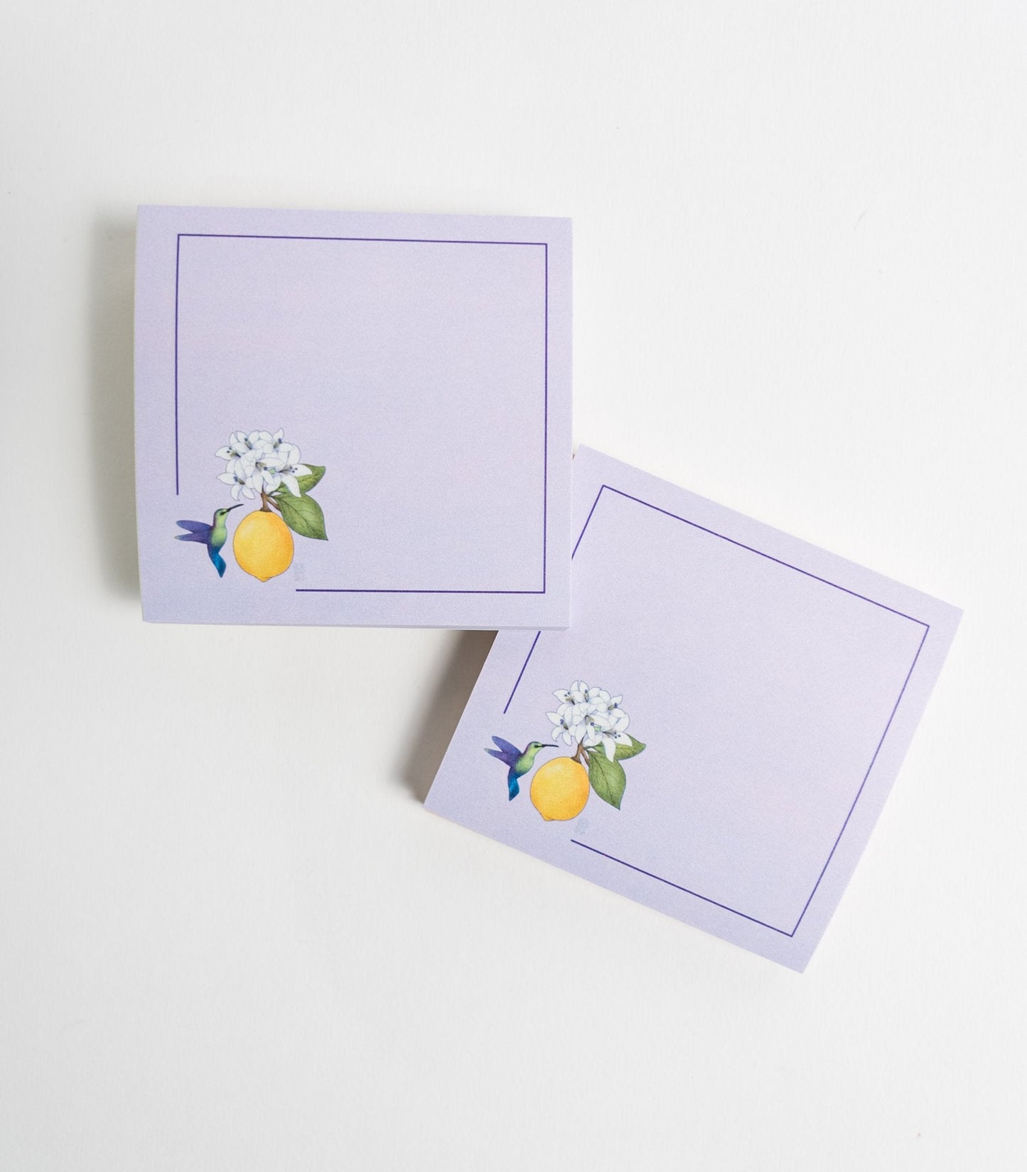Hummingbird and Lemon Fruit Sticky Notes