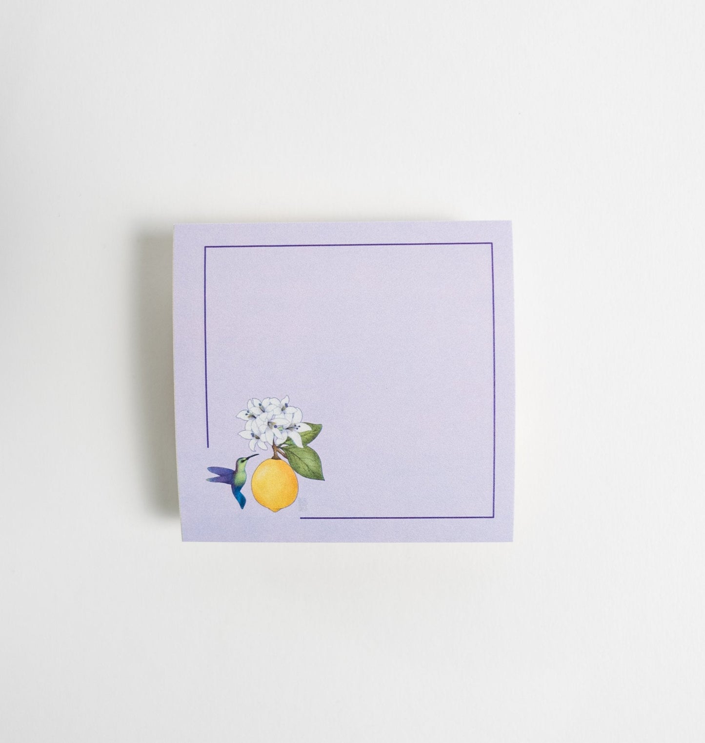Hummingbird and Lemon Fruit Sticky Notes