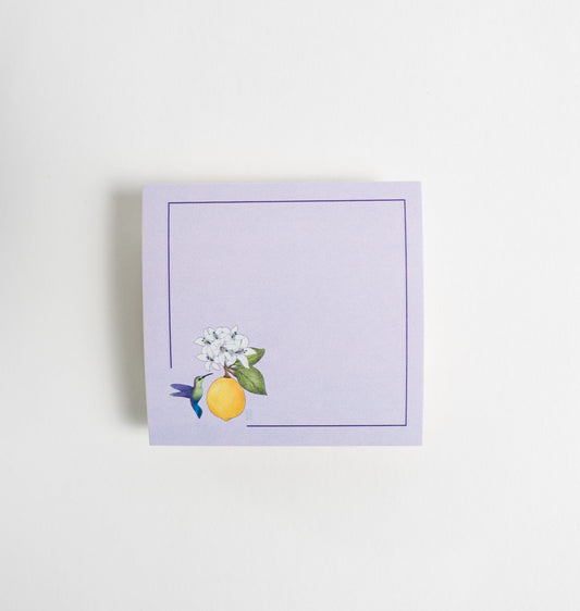 Hummingbird and Lemon Fruit Sticky Notes